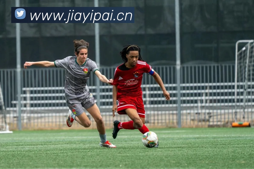 数据防护可视化